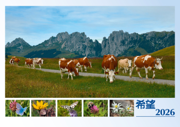 Monatskalender "Hoffnung" Deutsch - Chinesisch 2026